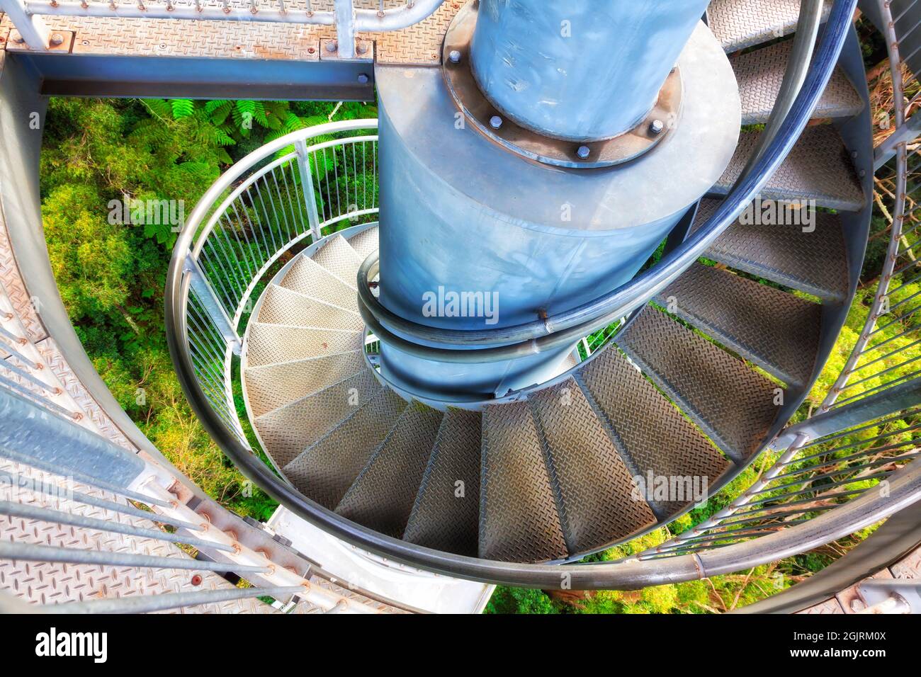 Spiral steel stairways from ground of evergreen rainforest up to sky above canopy in NSW, AUstalia. Stock Photo
