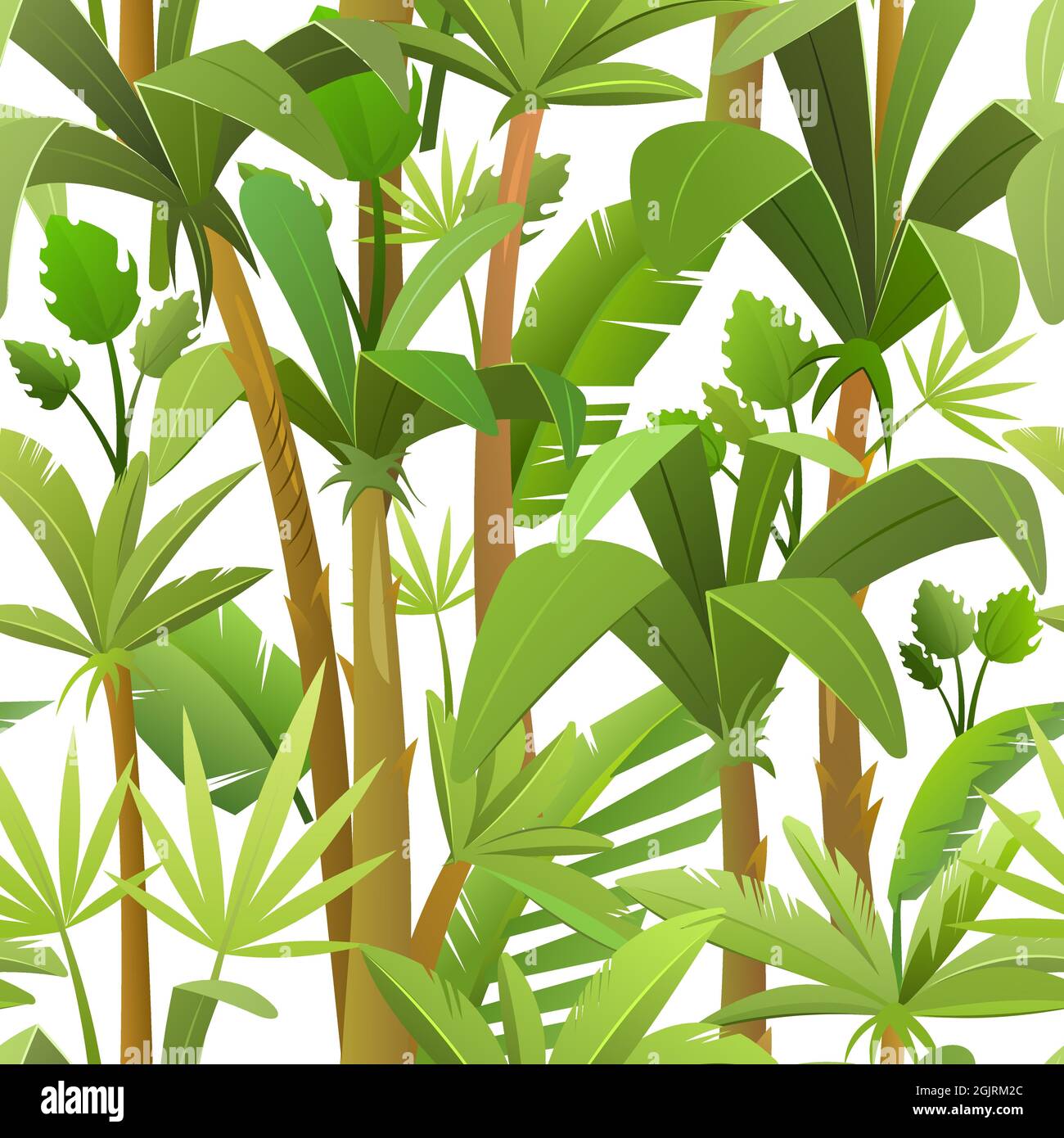 Beautiful tropical background with jungle leaves. Thickets with palms in cartoon style. Isolated on white background. Seamless jungle pattern Stock Vector Image & Art - Alamy Beautiful tropical background with jungle leaves. Thickets with palms in cartoon style. Isolated on white background. Seamless jungle pattern Stock Vector Image & Art - Alamy