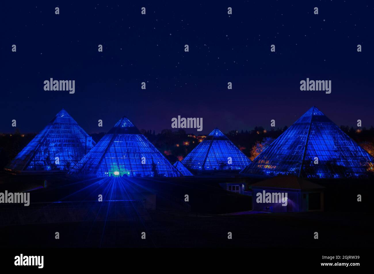 City of edmonton christmas tree hires stock photography and images Alamy