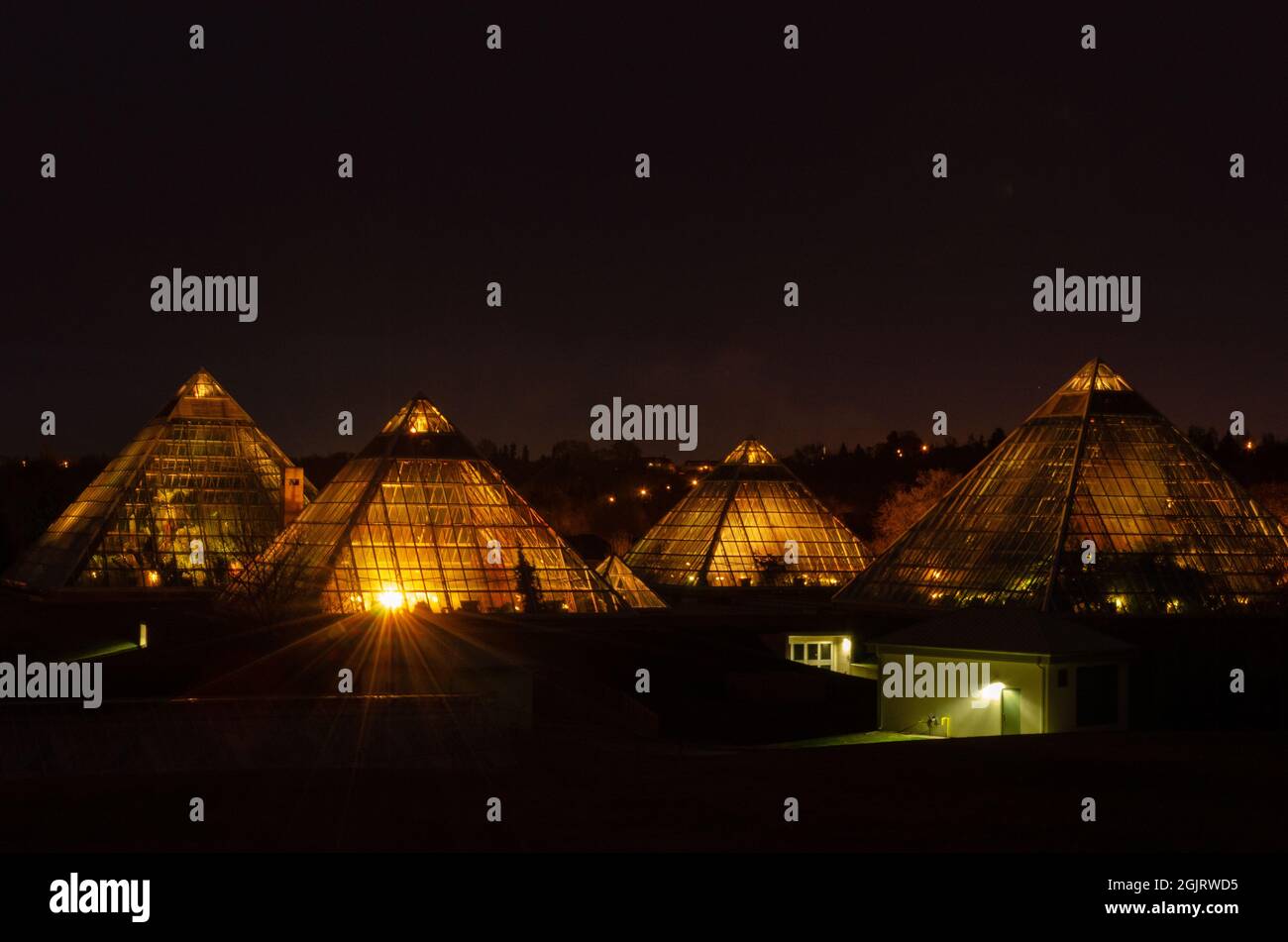 City of edmonton christmas tree hires stock photography and images Alamy