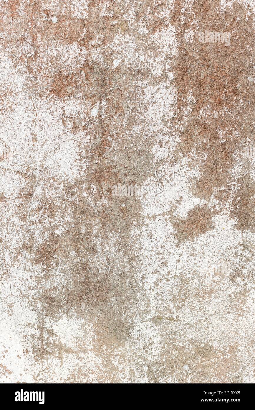 Deteriorated painted cement wall with some orange lichen on the surface. Stock Photo