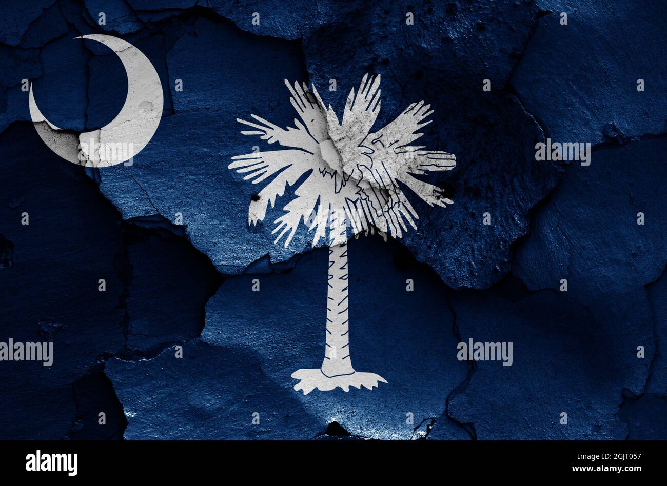 flag of South Carolina, USA painted on cracked wall Stock Photo