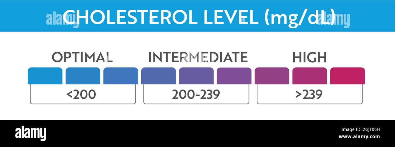 Cholesterol level meter indicator. Medical speedometer. Chat control concept presentation Stock Vector
