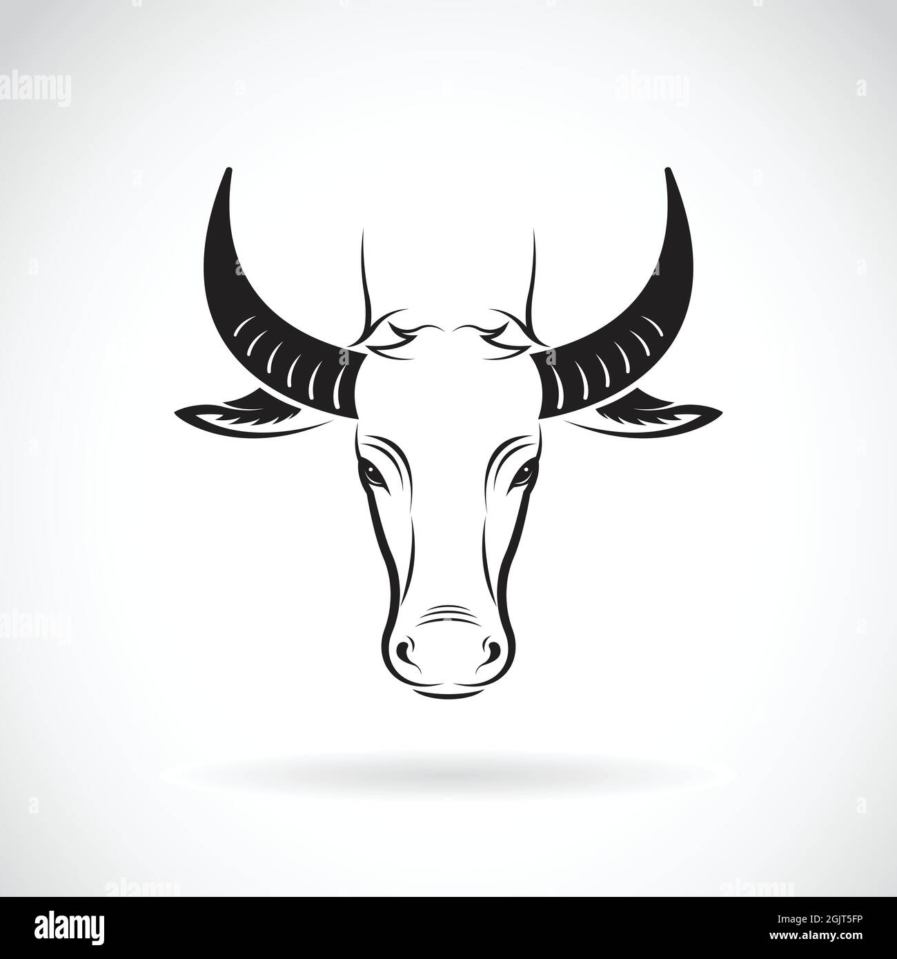 Vector of a buffalo head on white background. Wild Animals. Easy ...