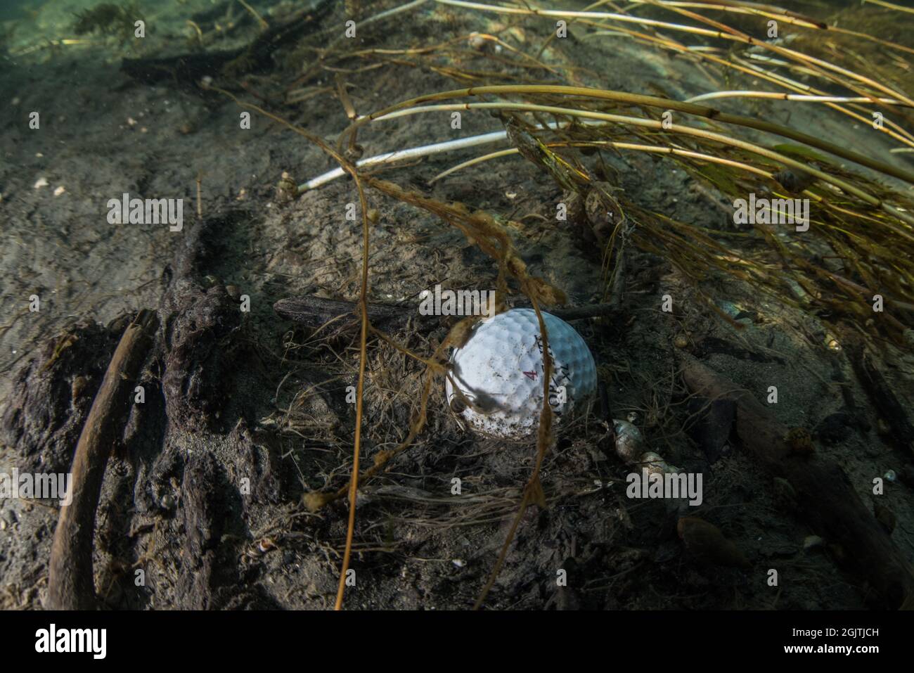 A submerged underwater golf ball sitting on the bottom of a pond Stock