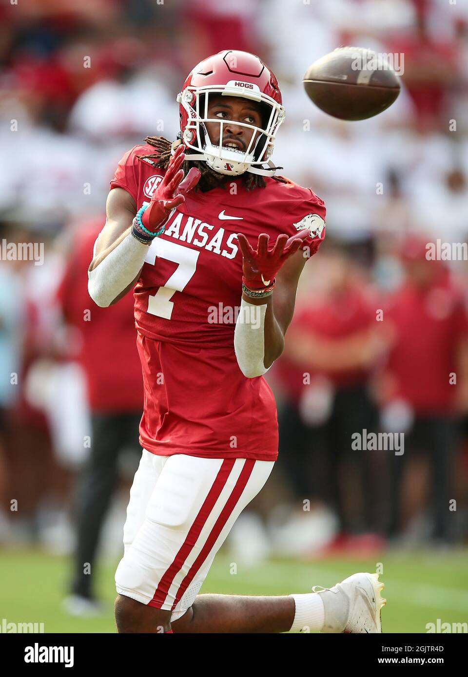 September 11, 2021: Trey Knox #7 Razorback receiver watches the ball into his hands. Arkansas defeated Texas 40-21 in Fayetteville, AR, Richey Miller/CSM Stock Photo