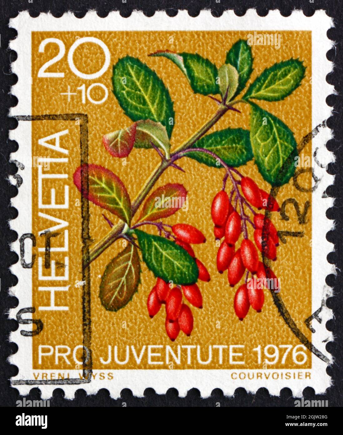 SWITZERLAND - CIRCA 1976: a stamp printed in the Switzerland shows Barberry, Berberis Vulgaris, Medicinal Forest Plant, circa 1976 Stock Photo