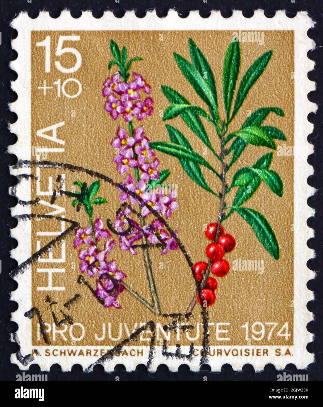 SWITZERLAND - CIRCA 1974: a stamp printed in the Switzerland shows Laurel, Laurus Nobilis, Evergreen Tree or Large Shrub, circa 1974 Stock Photo