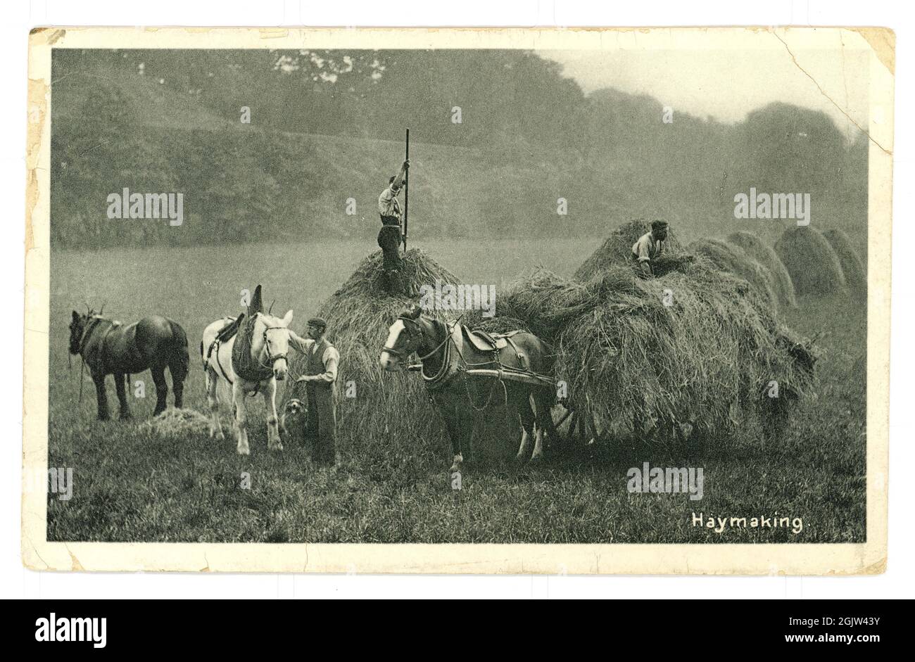 Original charming quaint quaintness Edwardian era, early 1900's greetings postcard of haymaking-  a rural idyll, posted from village of Kilham, East Riding of Yorkshire, U.K. Dated May 1907 Stock Photo