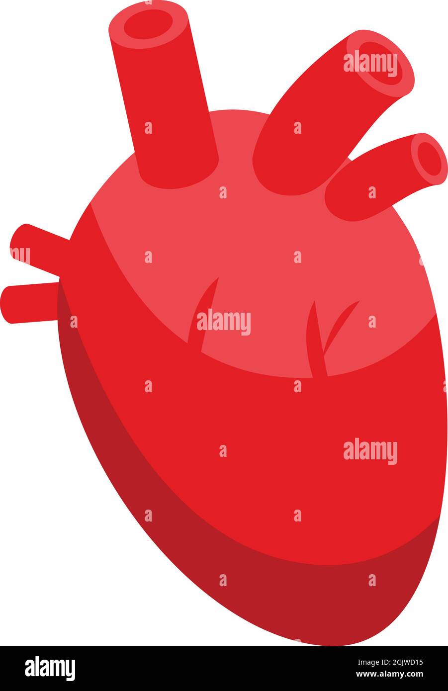 Heart bioprinting icon isometric vector. Medical science. Bio human Stock Vector