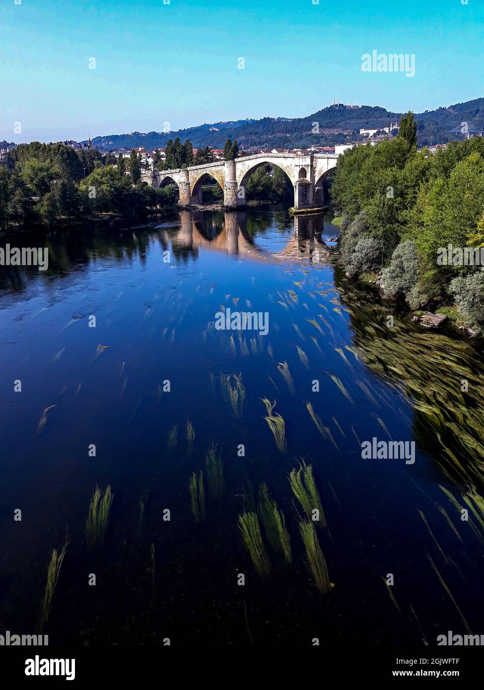 river with bridge to the bottom with algae Stock Photo
