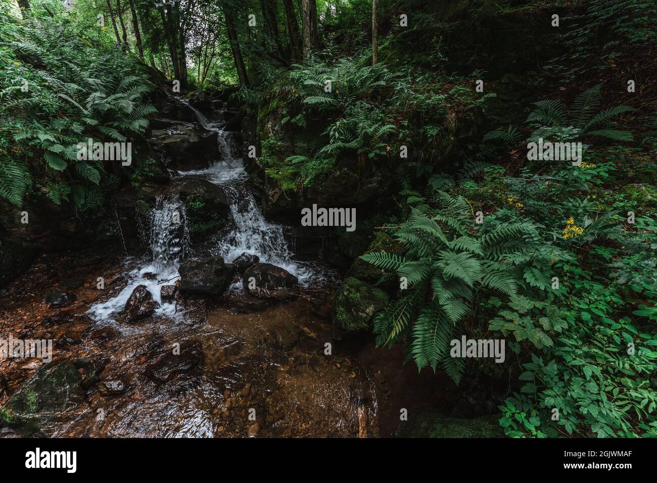 todtnauer waterfalls of the black forest (Schwarzwald), Baden-Wuerttemberg, Germany Stock Photo