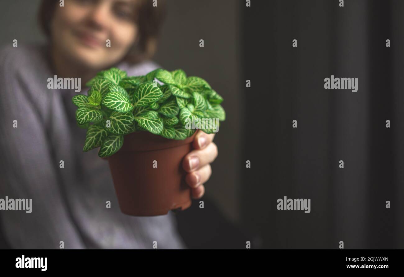 Smiling young woman holding pot with home plant Stock Photo - Alamy