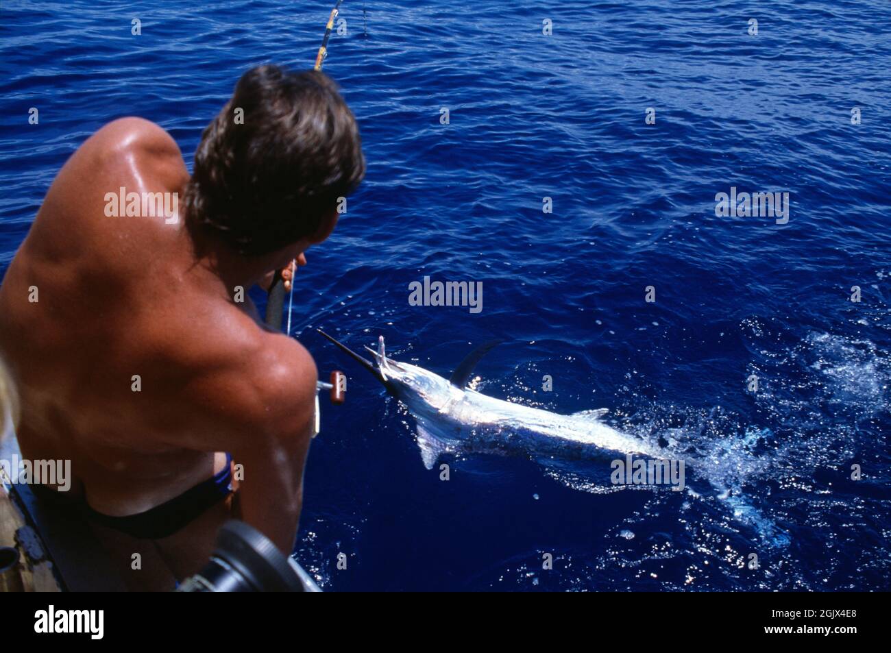 Big game fishing marlin hi-res stock photography and images - Alamy