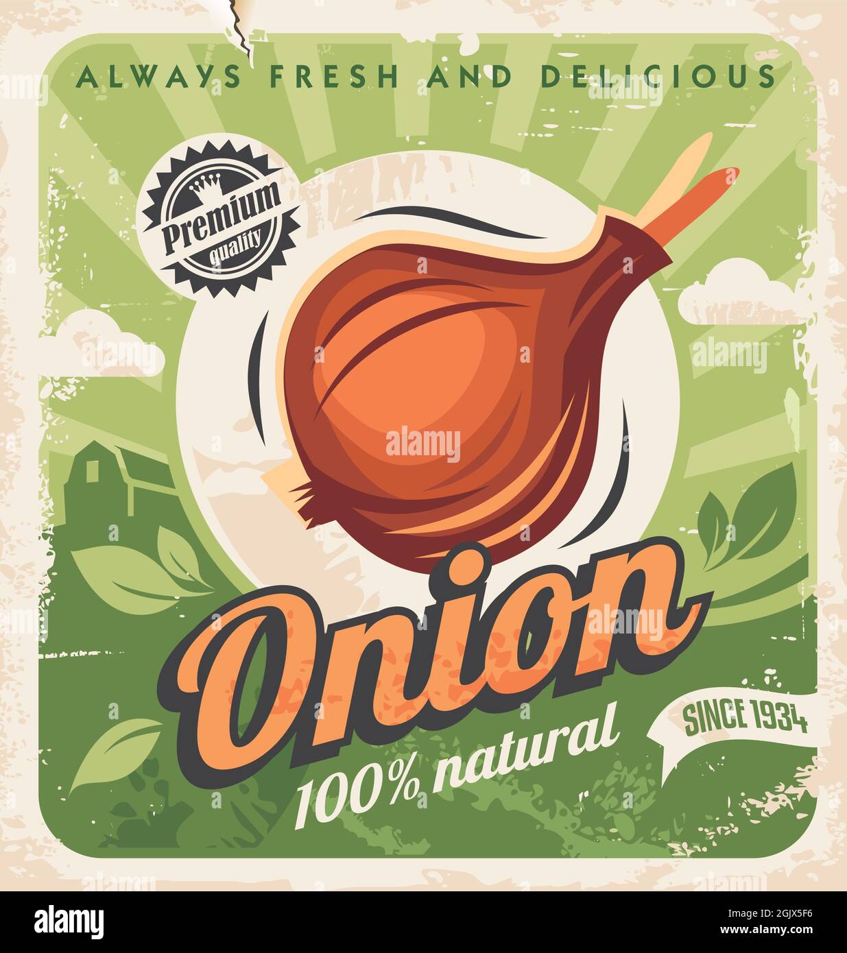 Onion farm vintage poster design. Farm fresh product retro advertisement on old paper texture. Onion vector image Stock Vector