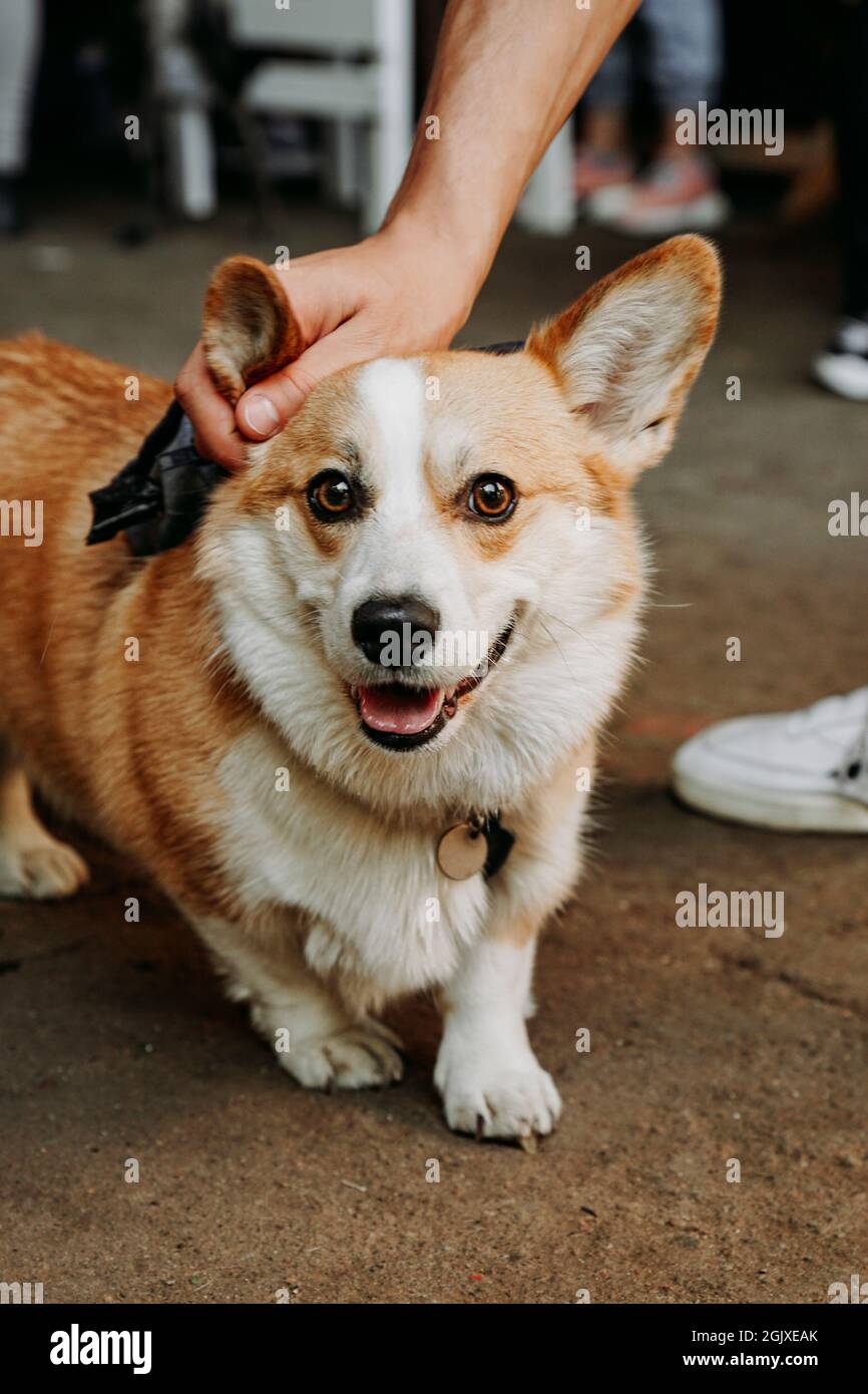 cafe hires stock photography and images Alamy