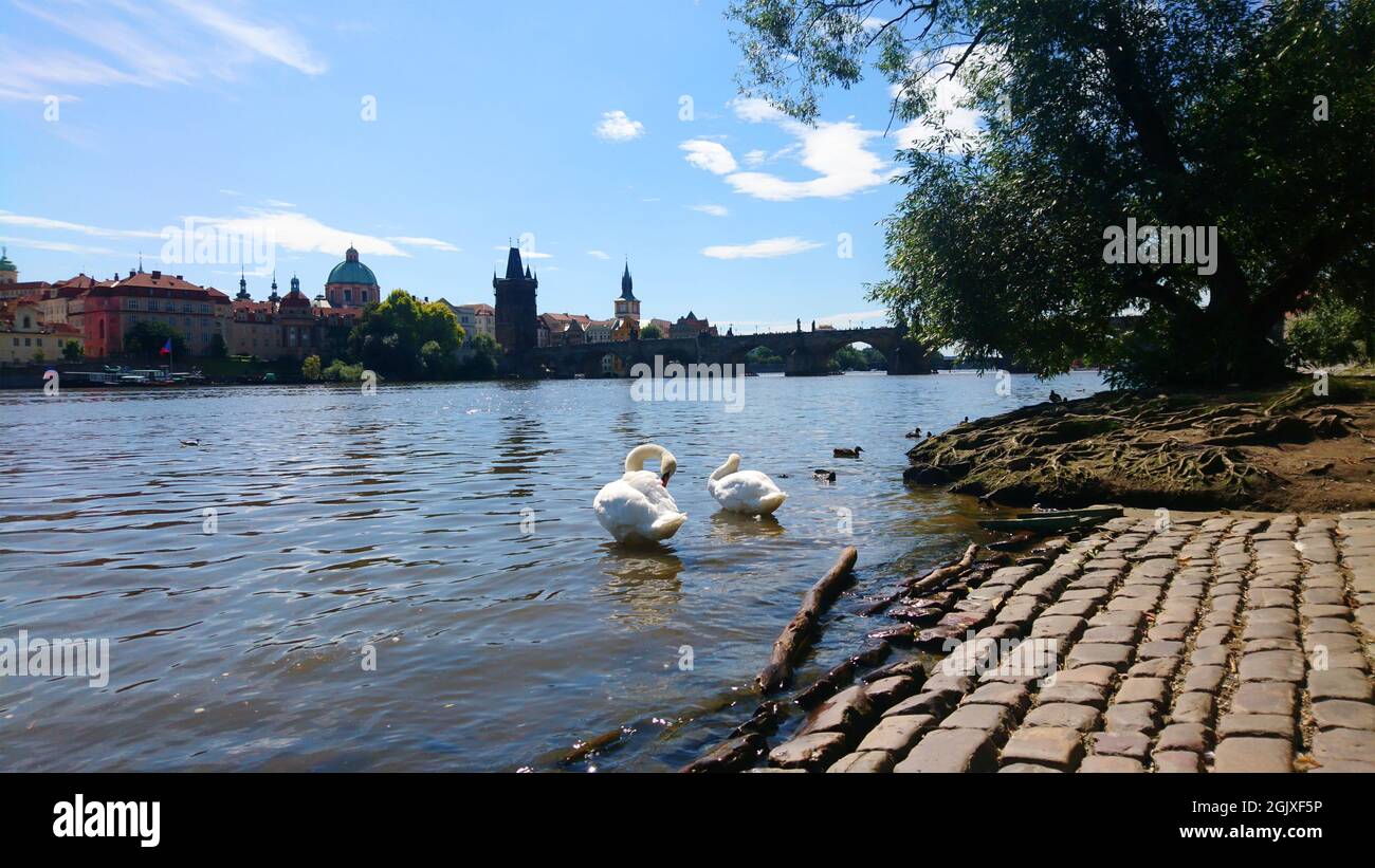 Karlsbrücke Prag Tschechien Stock Photo