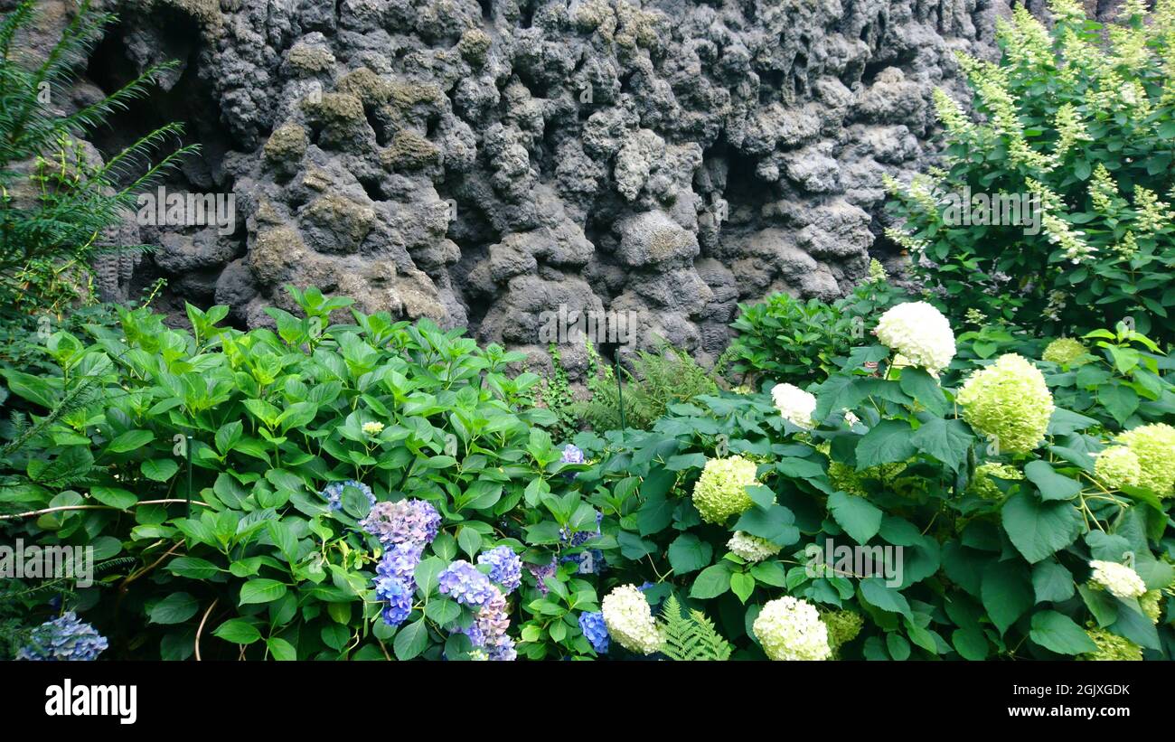 Dripstone wall, Wallenstein Palace Gardens, Prague, Czech Republic Stock Photo