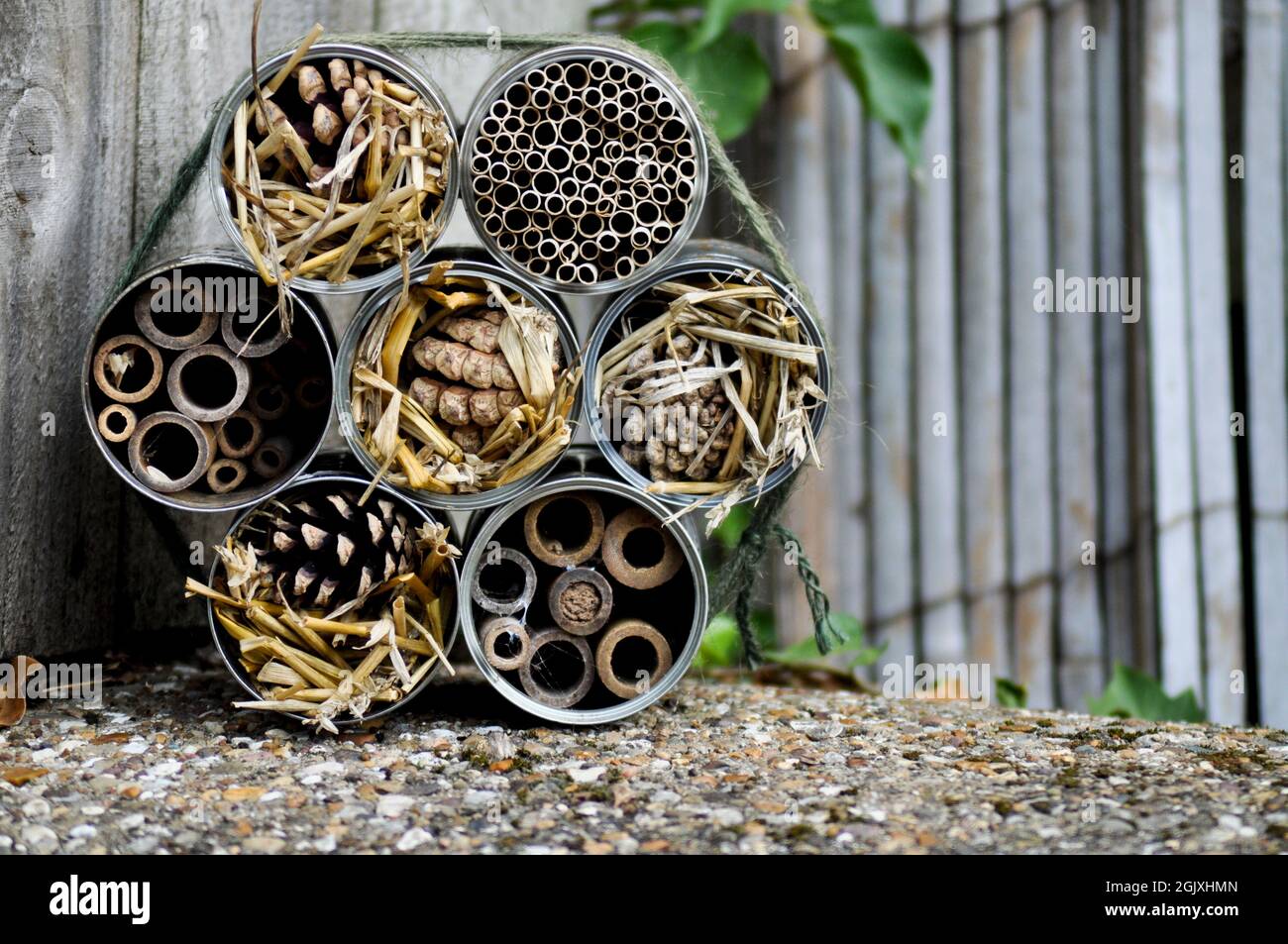 Insect hotel cardboard hi-res stock photography and images - Alamy