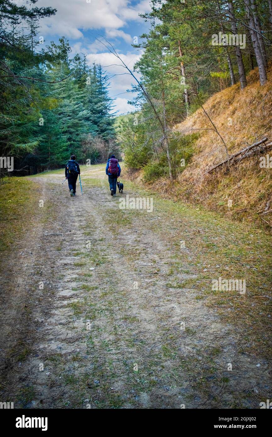 Two people with backpack and dog walking in the apennines. Podere Montebello, Modigliana, Forlì, Emilia Romagna, Italy, Europe. Stock Photo