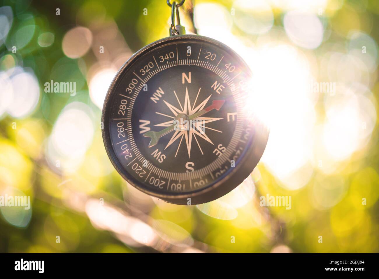 Compass in the forest, close-up view Stock Photo