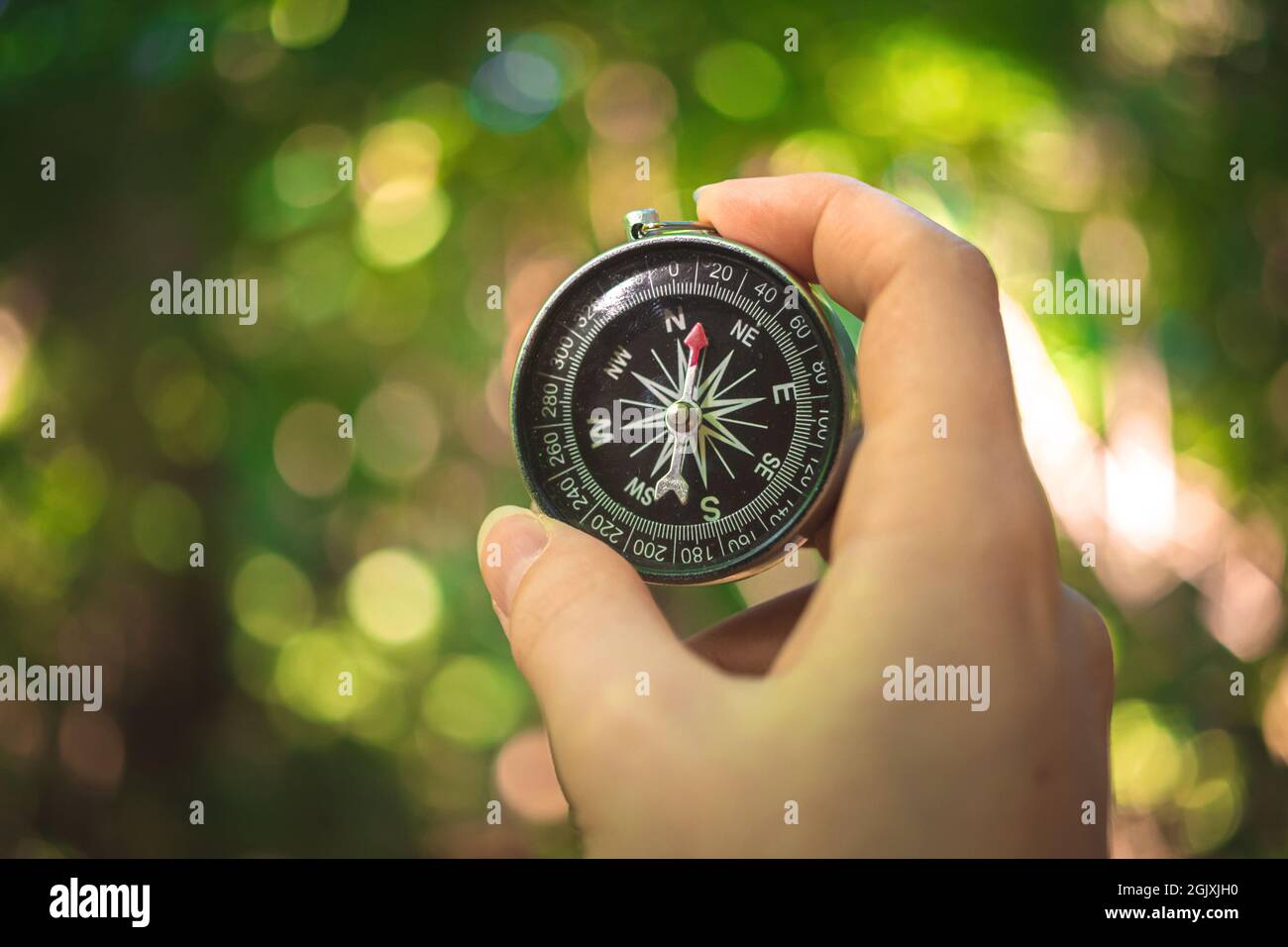 Traveler holding the compass in hand, forest background Stock Photo