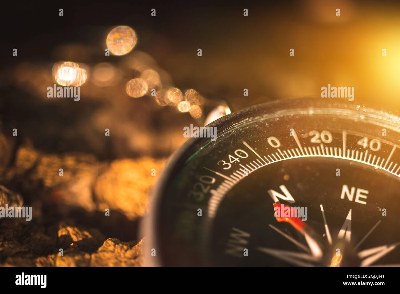 Compass in the forest close-up, navigation background Stock Photo