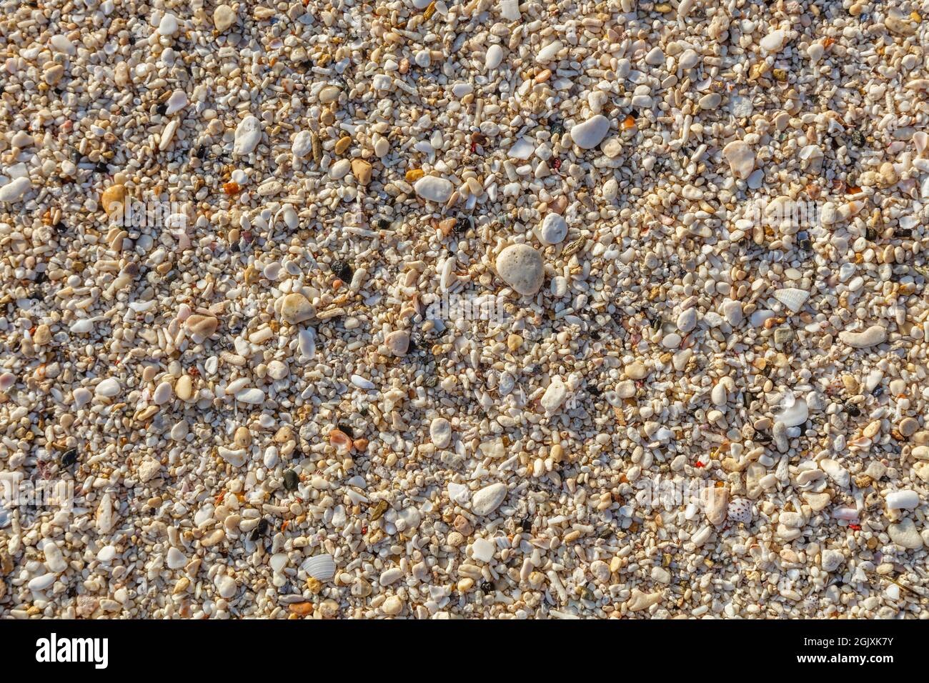 Shells and pebbles, Diniwid Beach, Boracay Island, Philippines Stock ...