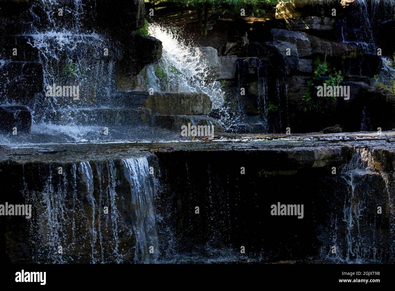 The beautiful artificial waterfall in the state park Stock Photo
