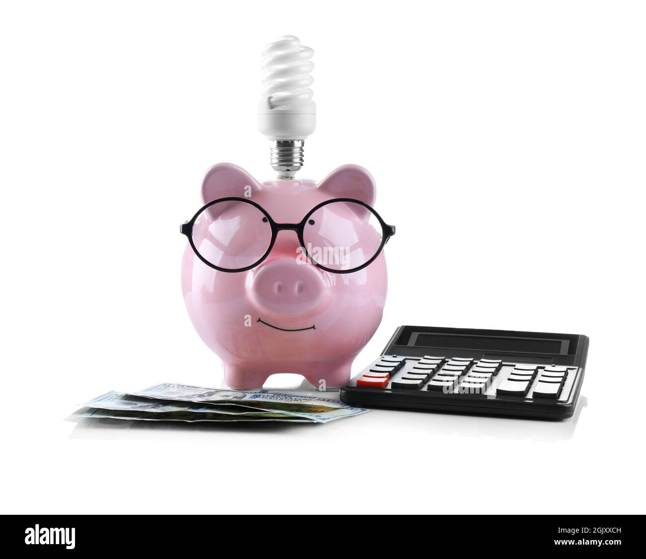 Cute pink piggy bank with glasses, money, bulb and calculator on white ...