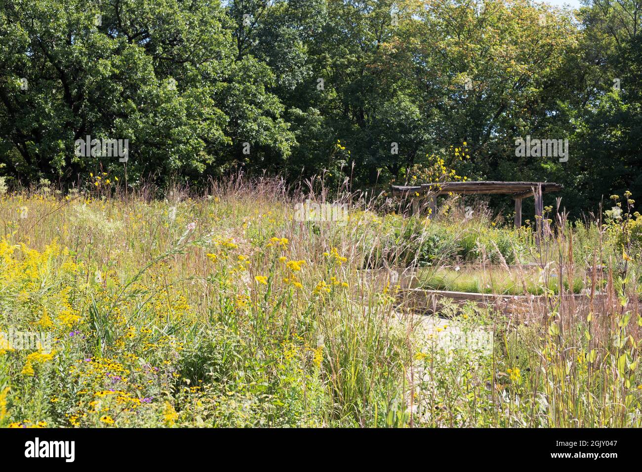 Prairie garden at Minnesota Landscape Arboretum in Chaska, Minnesota