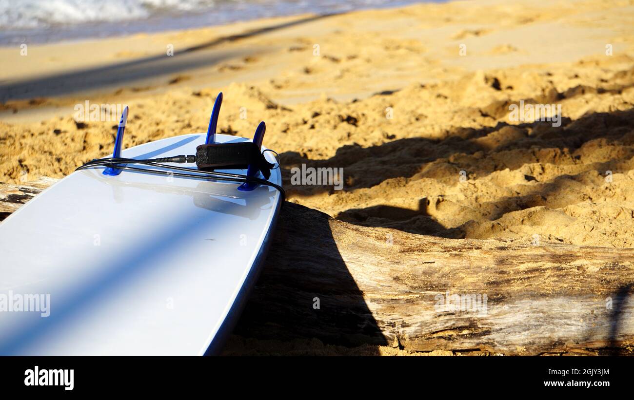 Surfboard resting on a driftwood log, rocker side up, on a beach in Hawaii. Stock Photo