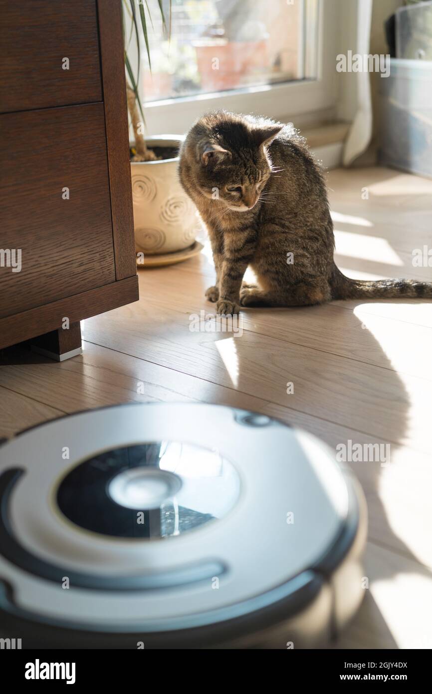 Robotic life hires stock photography and images Alamy