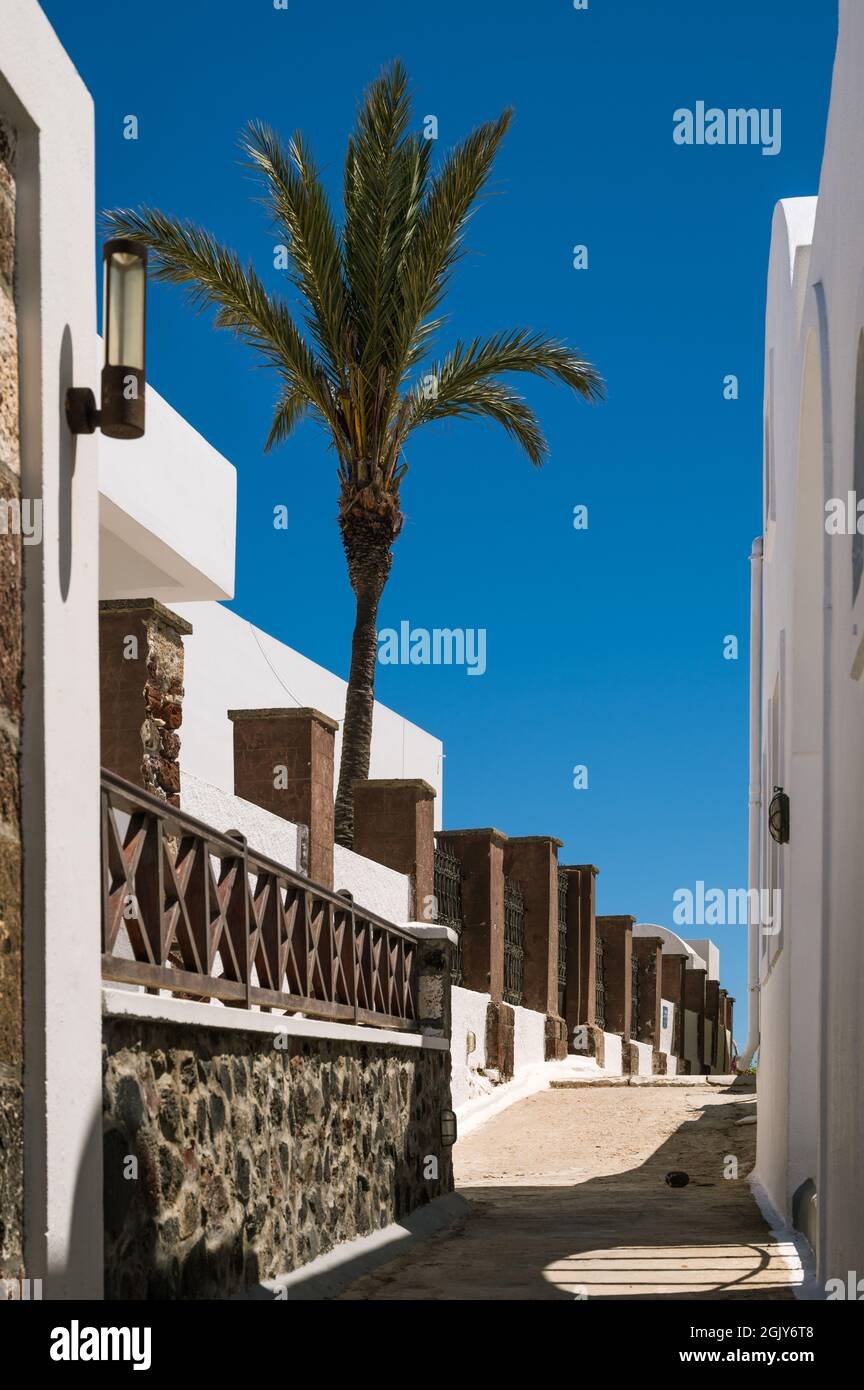 Empty narrow street. Santorini island. White architecture. High fence. Palm tree. Stock Photo