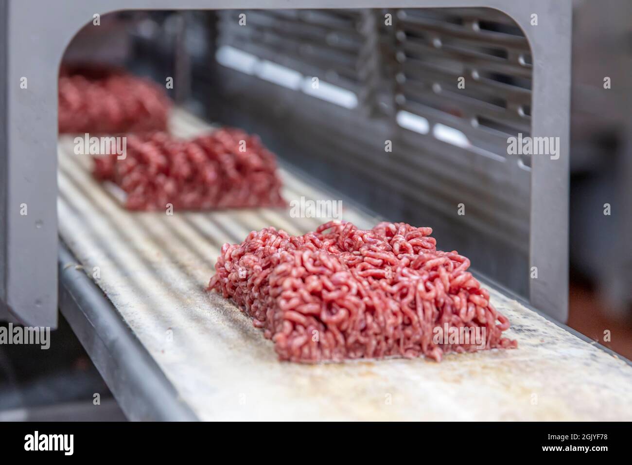 Meat grinder in action and ground beef meat. electric meat grinder.  Unidentifiable butcher holding tray full of minced raw red meat leaving  machine in Stock Photo - Alamy