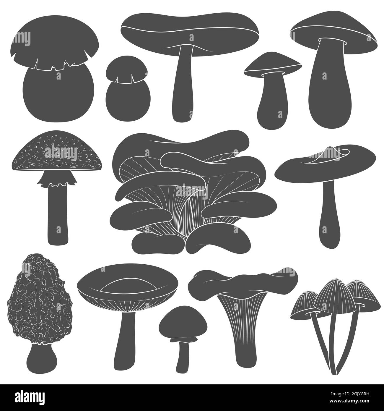 Set of black and white images with mushrooms. Isolated vector objects on white background. Stock Vector