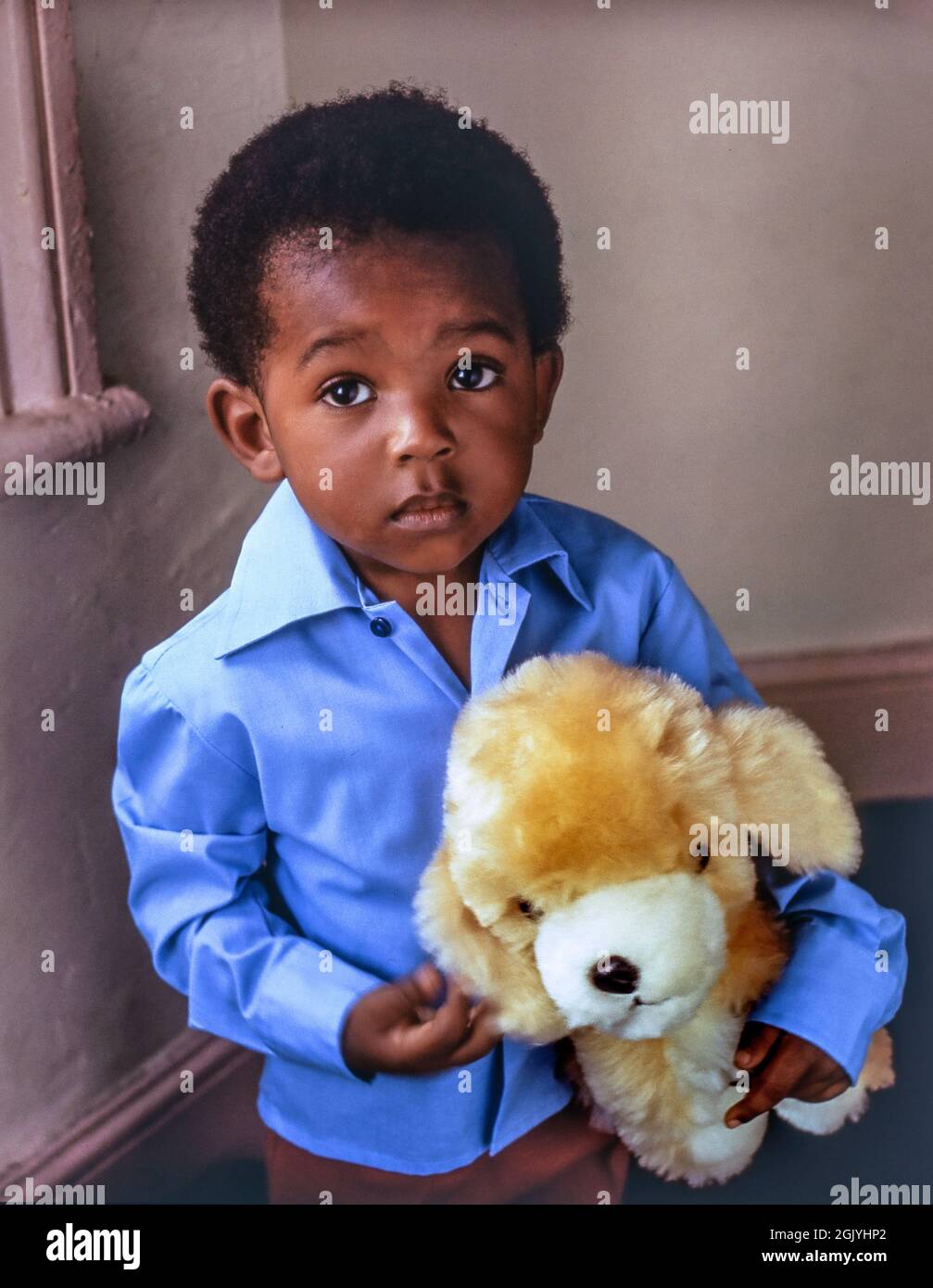 African boy 4 years posing at home cute infant African Caribbean black boy wearing his best blue shirt, holding his favourite fluffy bear. Pensive emotive expression captured in natural window light at his home Stock Photo