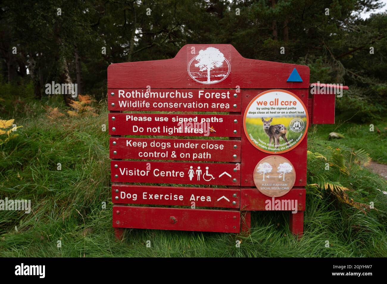 Red and white sign for Rothiemurchus Forest with arrows to visitor centre, dog exercise area. Blurred forest background. Rules about fires and dogs. Stock Photo