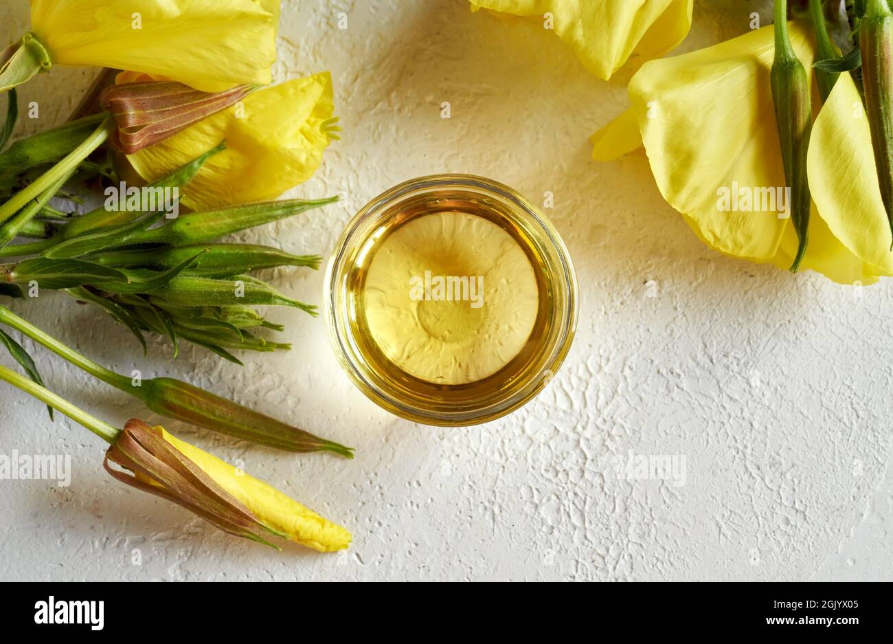 A bowl of evening primrose oil with blooming Oenothera biennis plant on