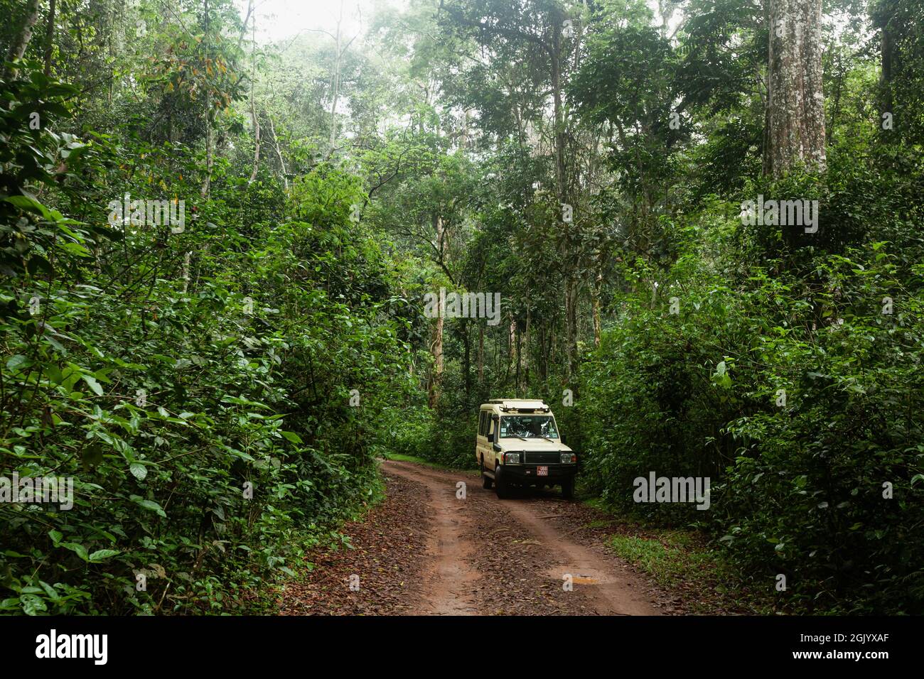 A jeep parked on the mud road in Kibale National Park, Uganda Stock Photo