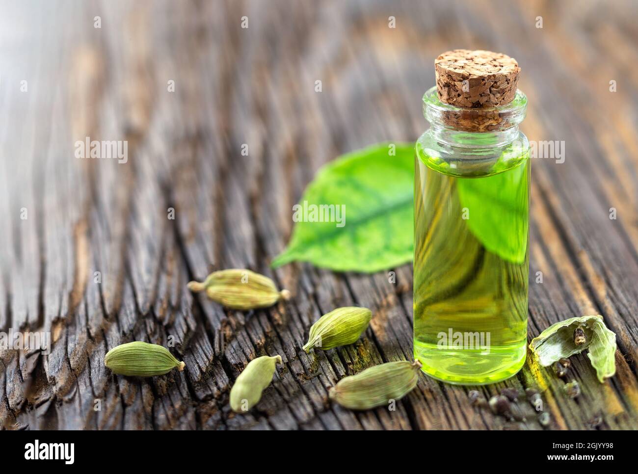 A bottle of cardamon essential oil with cardamon seeds and leaves Stock