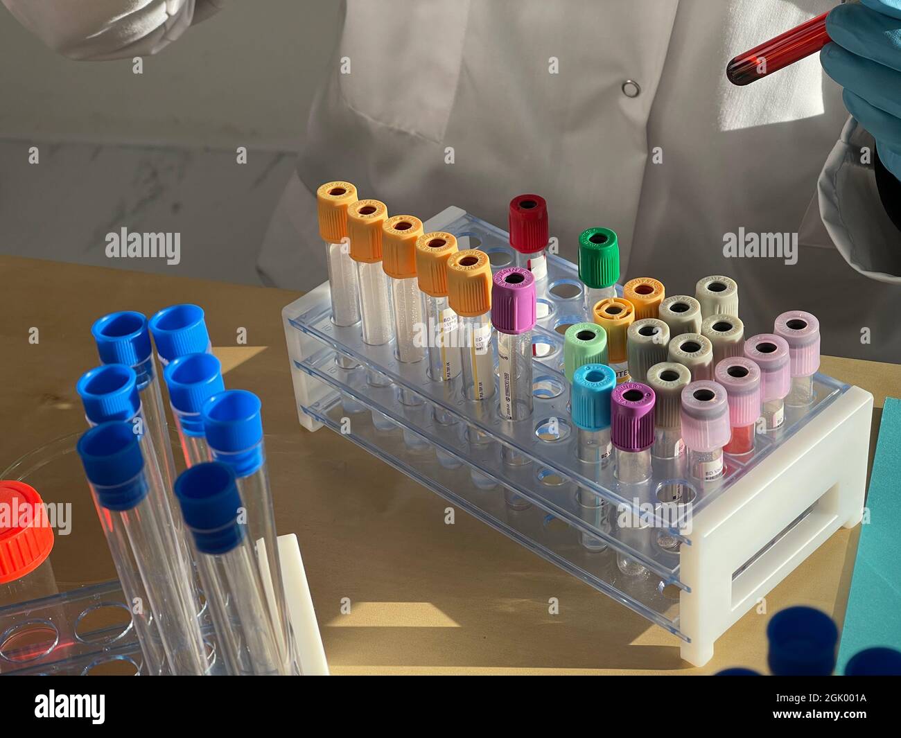 Laboratory technician carrying out experiments on different types of ...
