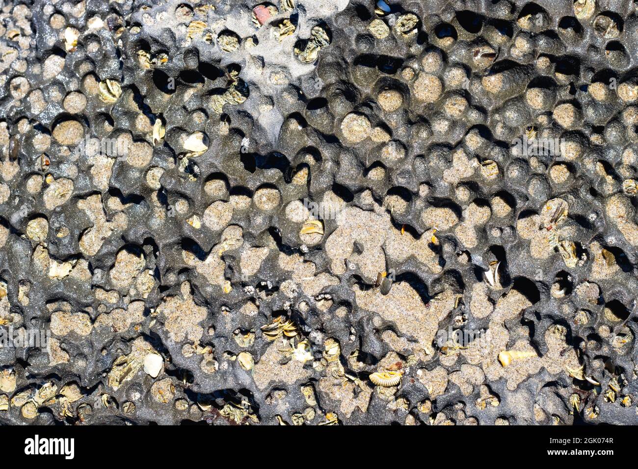 Rough wet rock on a sea beach close up texture background Stock Photo ...