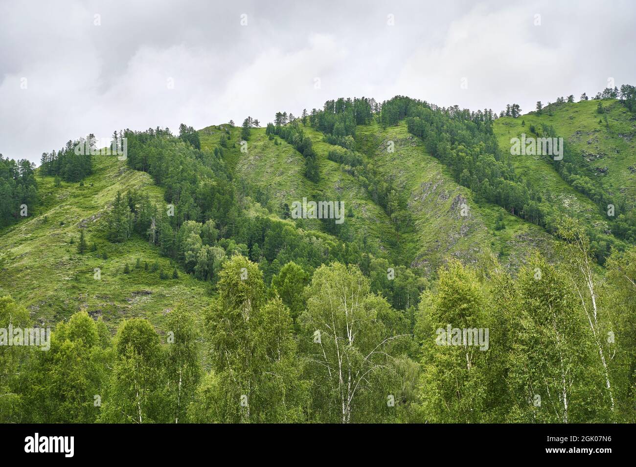 Vacation landscape. Russian Altai mountains. Multa region. Staycation concept Stock Photo