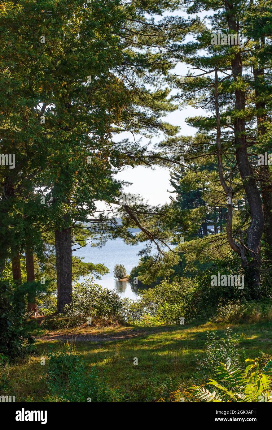 view of the wachusett reservior  through the woods  of west boylston Stock Photo