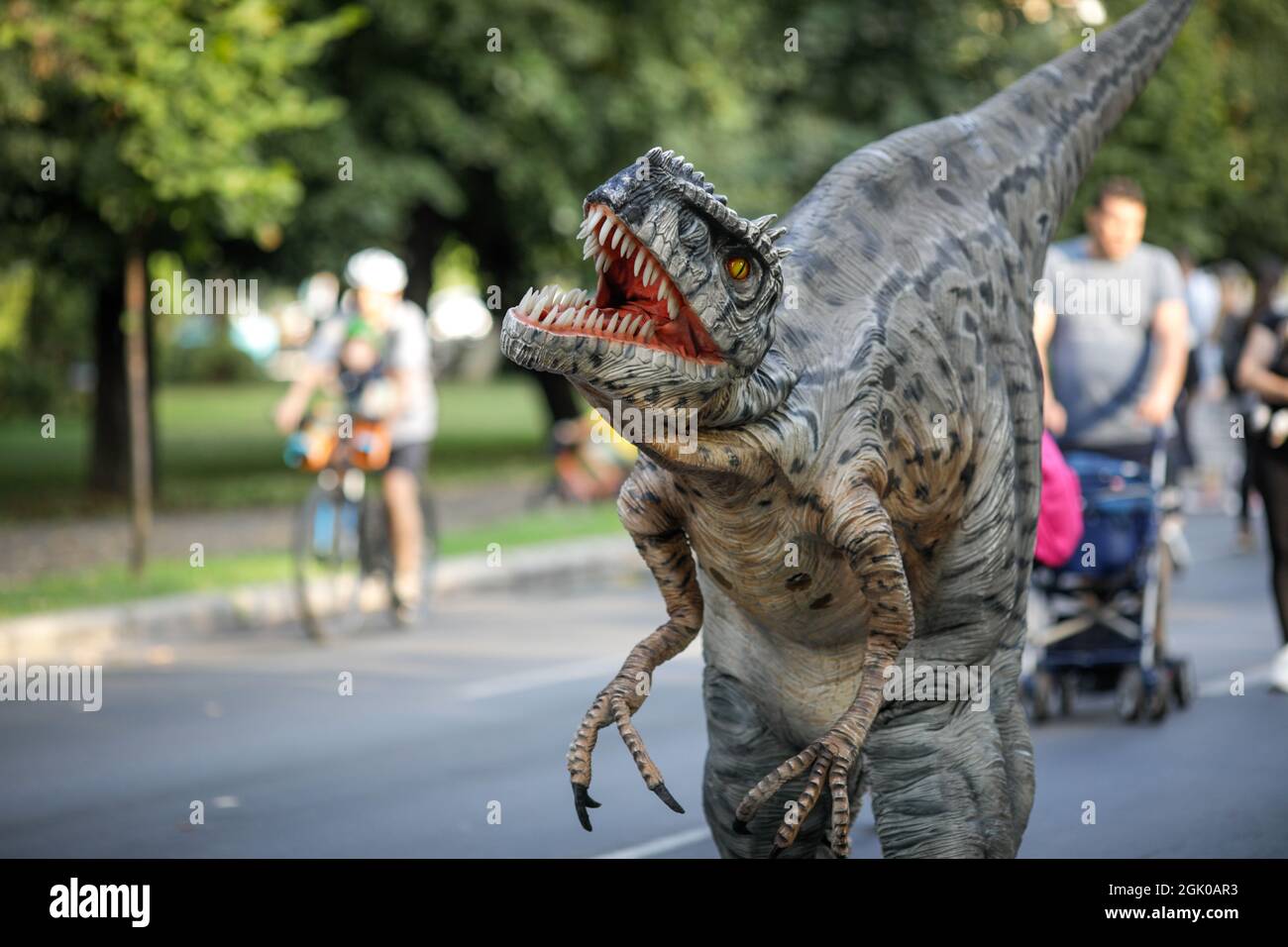 Bucharest, Romania - August 29, 2021: A man costumed as a carnivorous dinosaur walks between people and let’s them pet him during an outdoors event in Stock Photo