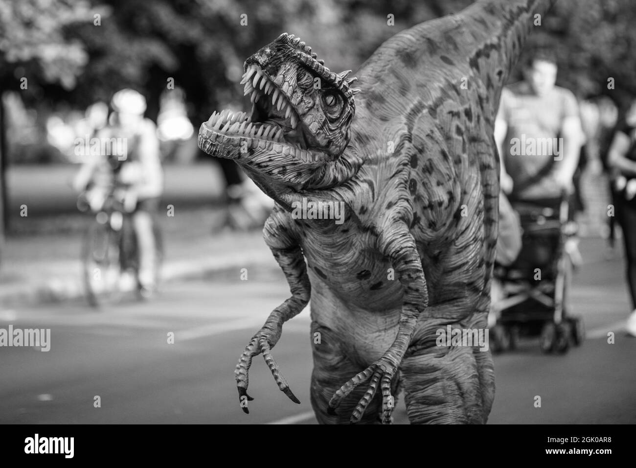 Bucharest, Romania - August 29, 2021: A man costumed as a carnivorous dinosaur walks between people and let’s them pet him during an outdoors event in Stock Photo