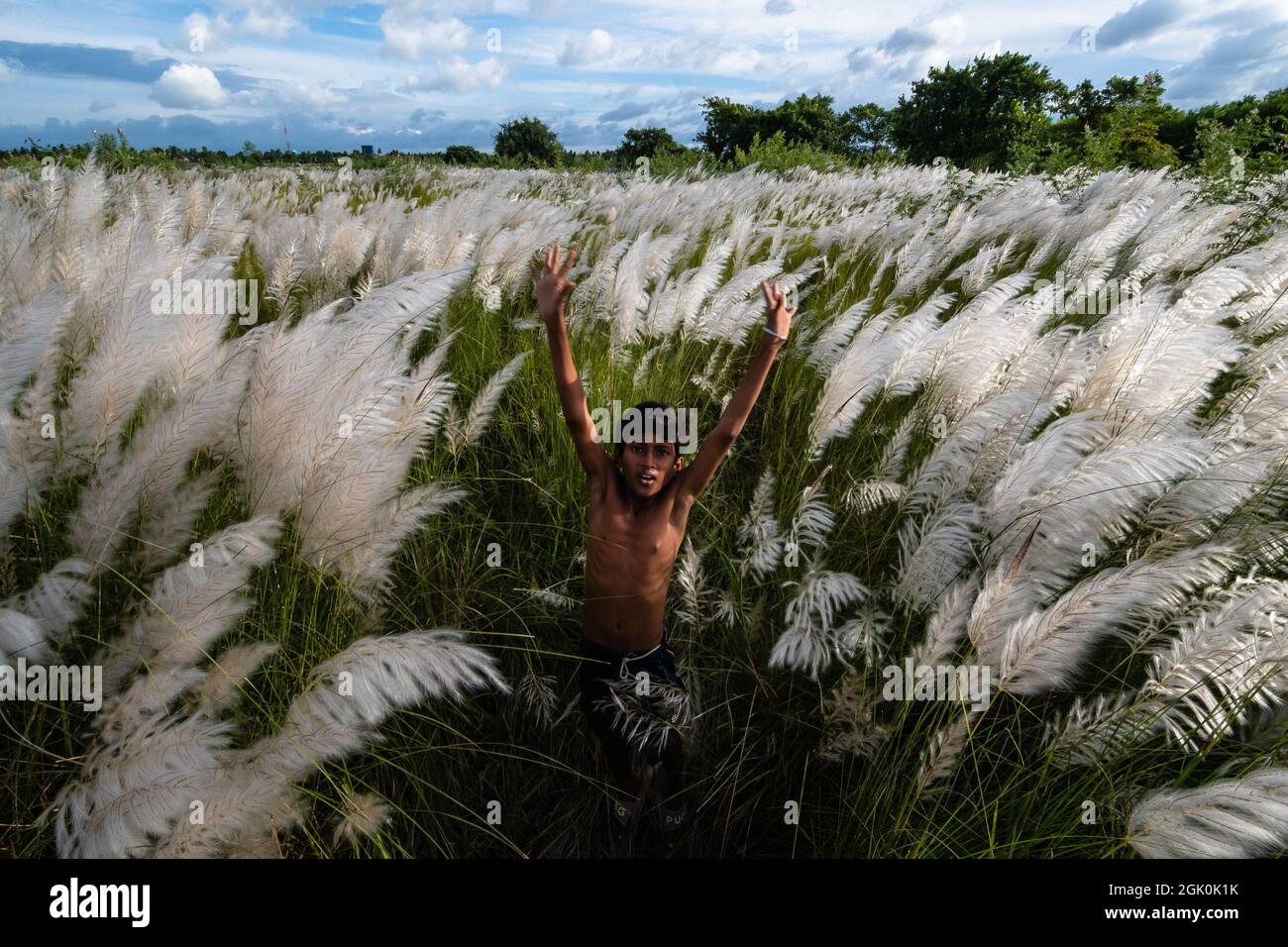 Kolkata, West Bengal, India. 12th Sep, 2021. The remote village children  are enjoying with the Saccharum Spontaneum or Kans grass locally known as  the Kash Flower, with flying colorful kite on the