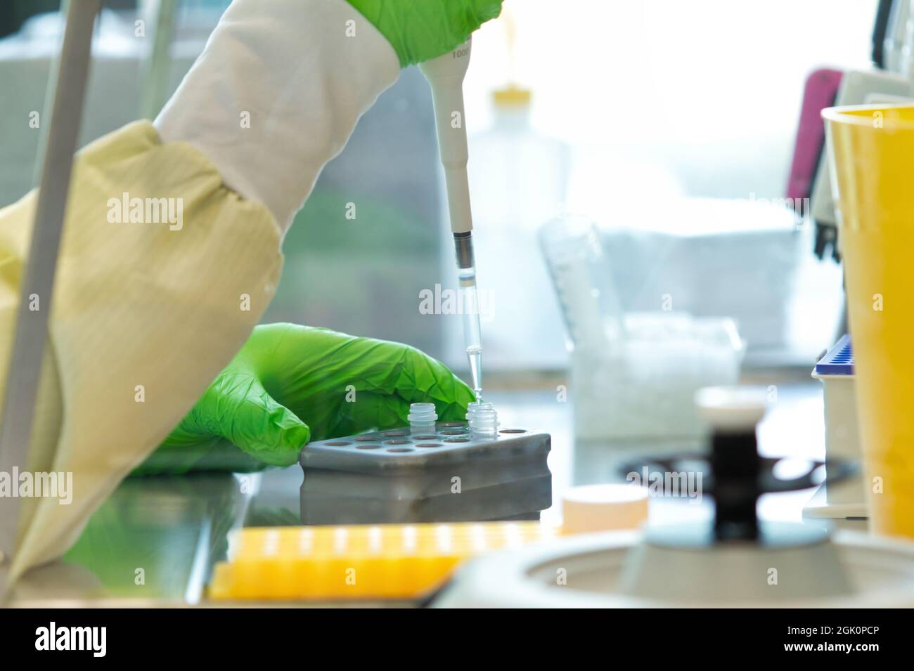 Research scientist pipetting reagents to a plate Stock Photo