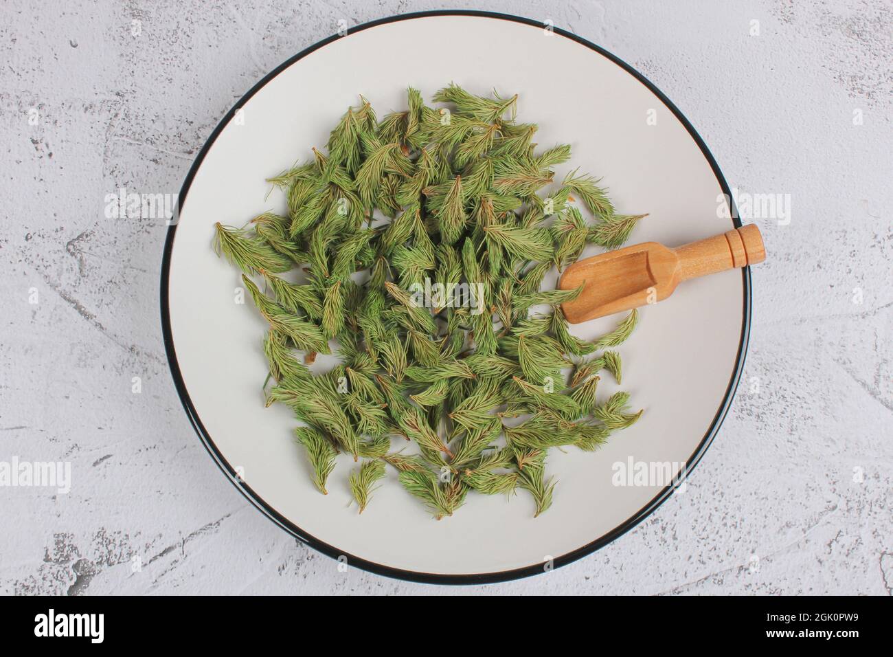 Dried young shoots of spruce prepare for tea. Remedy for cough and asthma. Homeopathy and natural folk medicine. Flat lay. Stock Photo